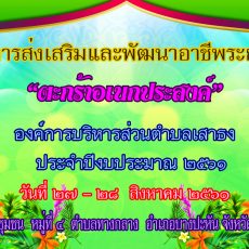 โครงการส่งเสริมและพัฒนาอาชีพระยะสั้น “ตะกร้าอเนกประสงค์”