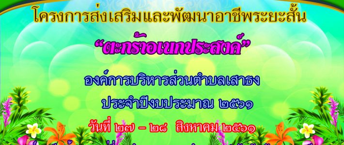 โครงการส่งเสริมและพัฒนาอาชีพระยะสั้น “ตะกร้าอเนกประสงค์”