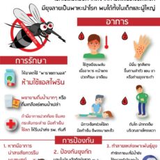 โรคไข้เลือดออก