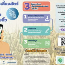 เปิดตัวแอปพลิเคชันเพื่อเกษตรกร “มะลิซ้อน-รีคัลท์” ในโครงการประกันภัยข้าวนาปี และโครงการประกันภัยข้าวโพดเลี้ยงสัตว์